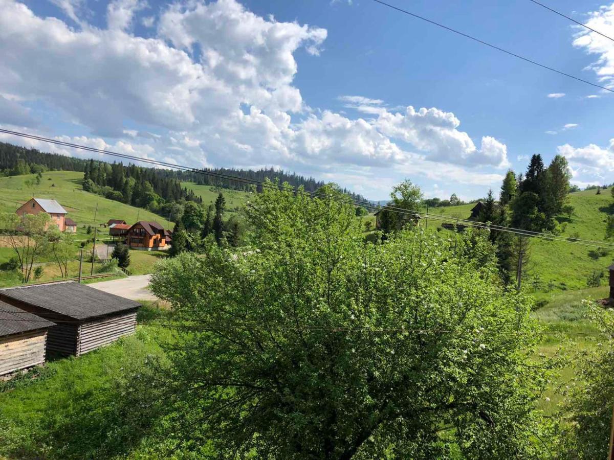 Карпатська Ніч Hotel Plave ภายนอก รูปภาพ
